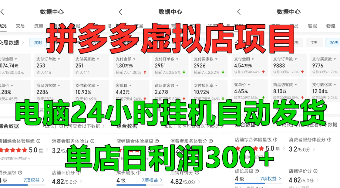 拼多多虚拟店项目,电脑挂机自动发货-网亿资源平台