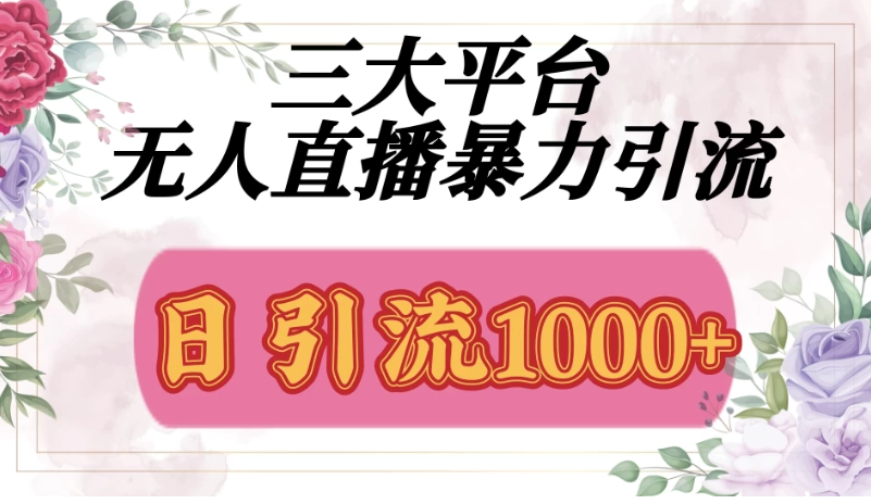 三大平台无人直播引流法，日引流1000+-网亿资源平台
