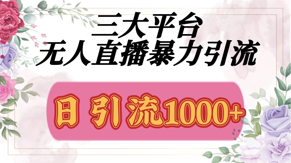 三大平台无人直播引流，吸引精准创业粉，保姆级教学-网亿资源平台