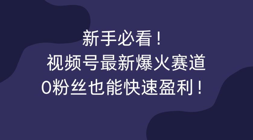 新手必看！视频号最新爆火赛道，0粉丝也能快速盈利！-网亿资源平台