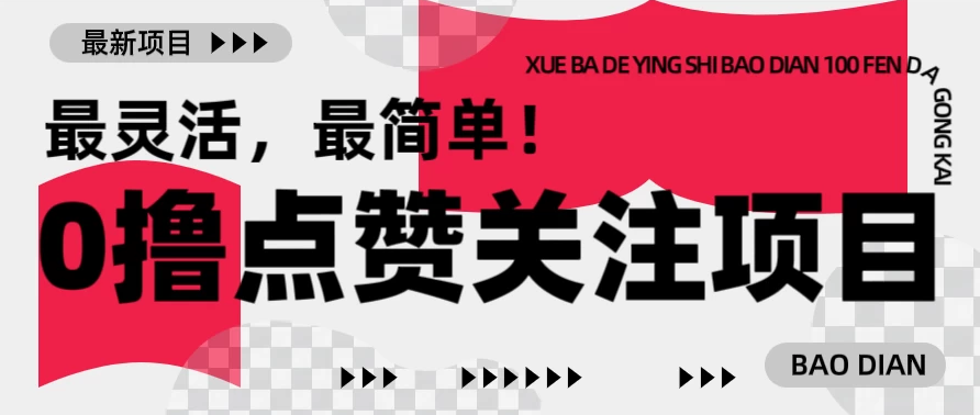 零撸最新点赞关注小项目，1毛起赚，1块起提！-网亿资源平台