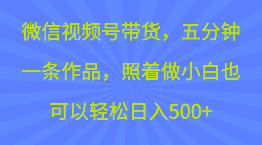 微信视频号带货，五分钟一条作品，照着做小白也可以轻松日入500+-网亿资源平台