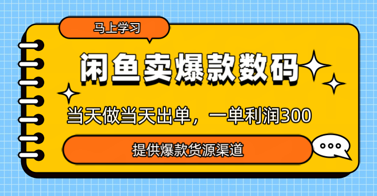 闲鱼卖爆款数码卖爆款数码，当天做当天出单，一单300＋-网亿资源平台