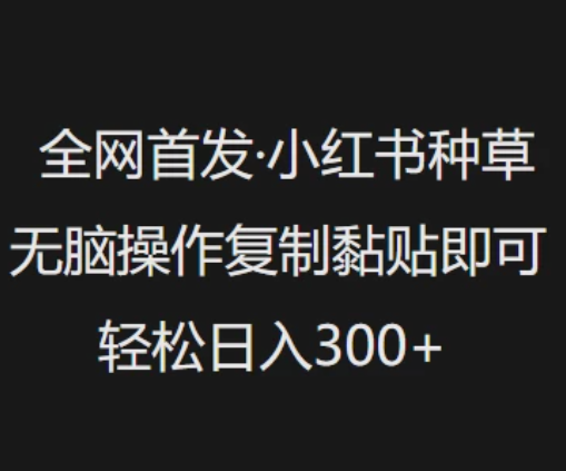 全网首发 小红书种草无脑操作复制黏贴即可 轻松日入300+-网亿资源平台