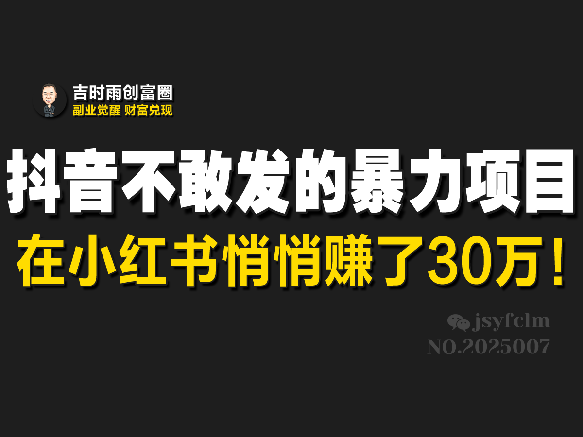 抖音不敢发的暴利项目，在小红书悄悄赚了30万！-网亿资源平台