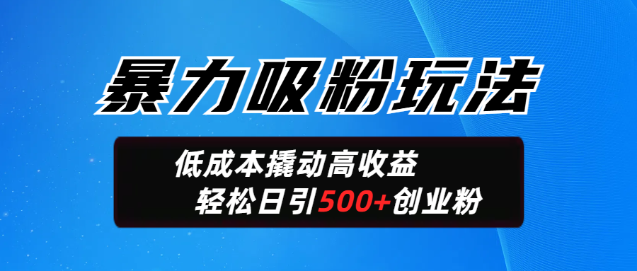 暴力吸粉玩法，日引500+精准创业粉，日变现轻松破2000-网亿资源平台