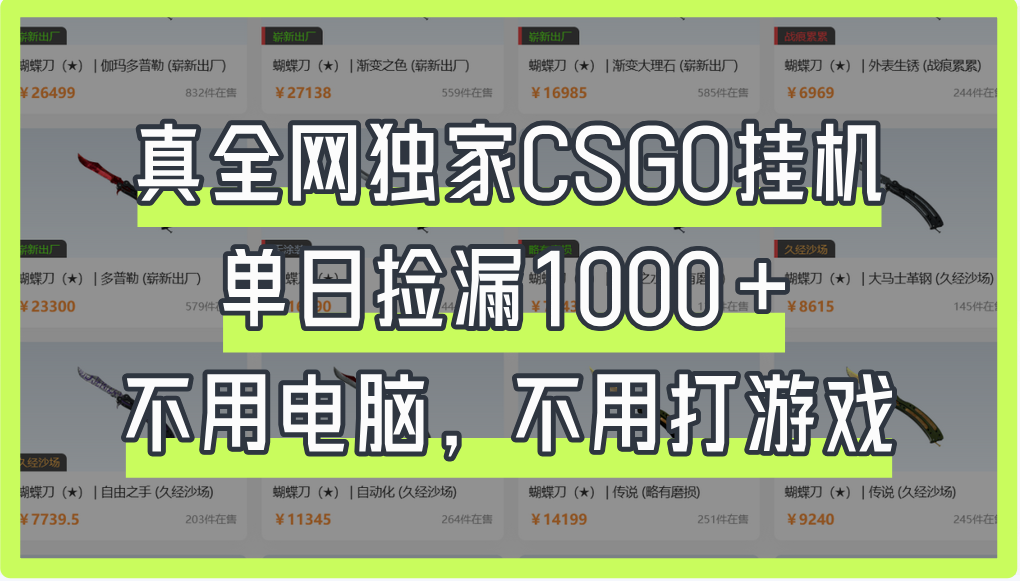 真全网独家CSGO挂机，单日捡漏1000+，不用电脑，不用养号-网亿资源平台