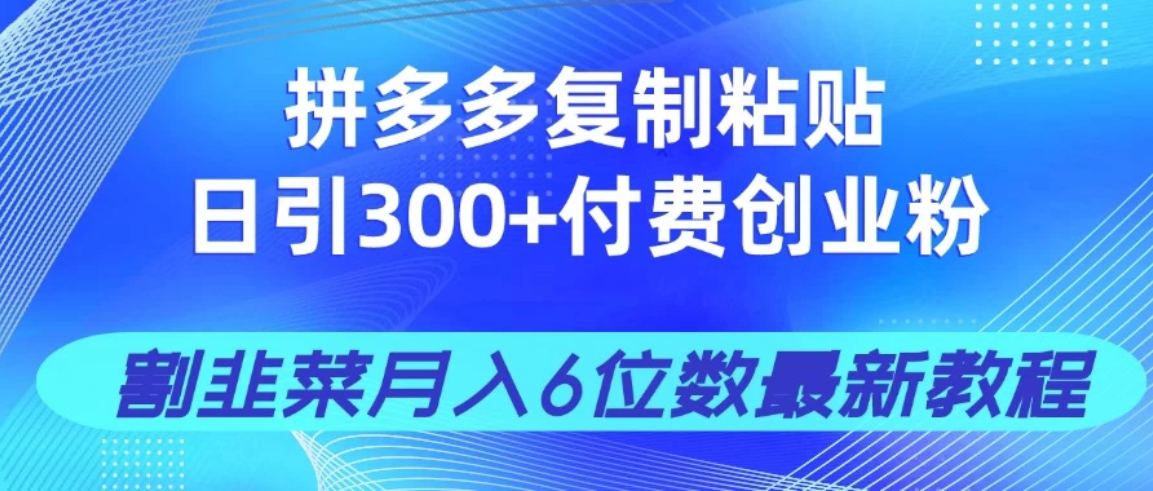 拼多多复制粘贴日引300+付费创业粉，割韭菜月入6位数最新教程！-网亿资源平台