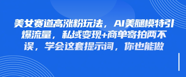 美女赛道高涨粉玩法，AI美腿模特引爆流量，私域变现+商单寄拍两不误，学会这套提示词，你也能做-网亿资源平台