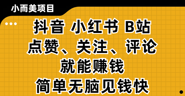 小而美的项目，抖音、小红书、B站视频点赞、关注、评论就能赚钱，简单无脑立见收益!妥妥的零撸项目-网亿资源平台