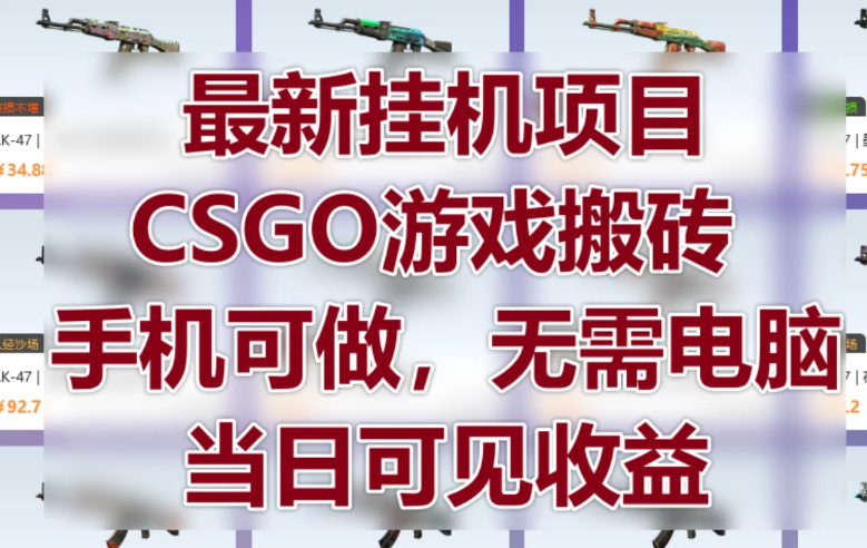 最新挂机项目，CSGO游戏搬砖，手机可做，无需电脑，当日见收益-网亿资源平台