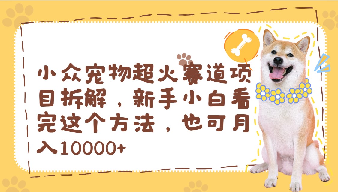 小众宠物超火赛道项目拆解，新手小白看完这个方法，也可月入10000+-网亿资源平台