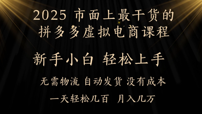 25年最干货的拼多多虚拟电商课程，小白轻松上手，月入过万只是门槛！虚拟电商，如皓月见青天！-网亿资源平台