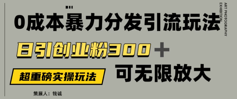 价值5980的0成本暴力引流玩法，日引创业粉300+，可无限放大-网亿资源平台