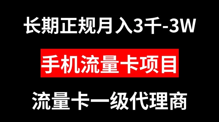 手机流量卡代理月入 3000-3w 长期正规项目-网亿资源平台
