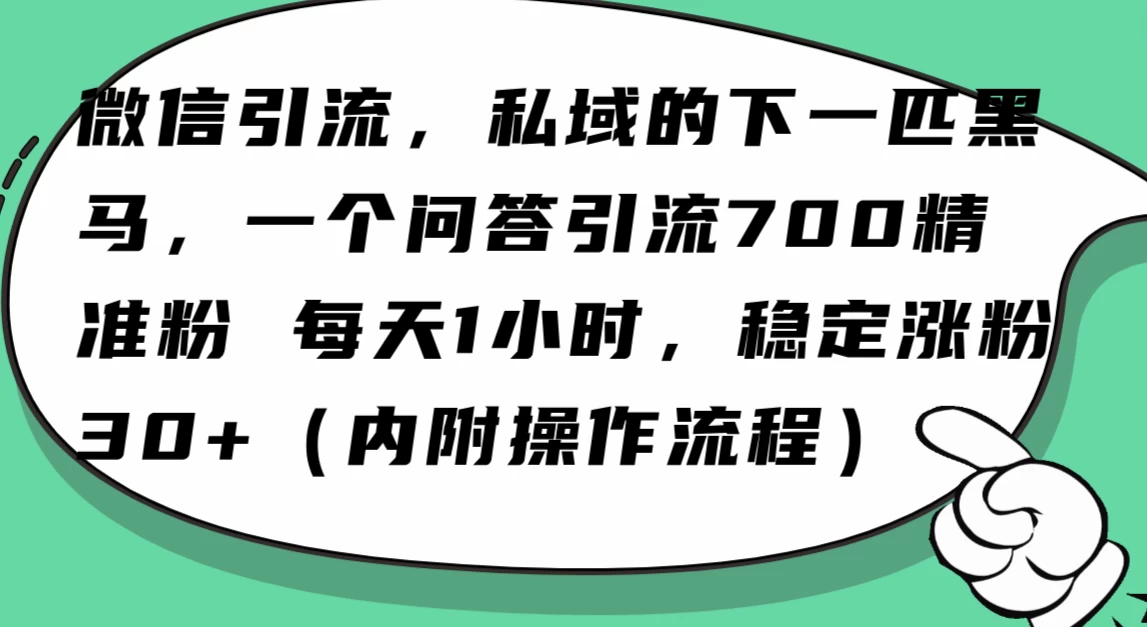 利用 AI 回答微信“问一问”，私域的下一匹黑马，一个问答引流 100 精准粉-网亿资源平台