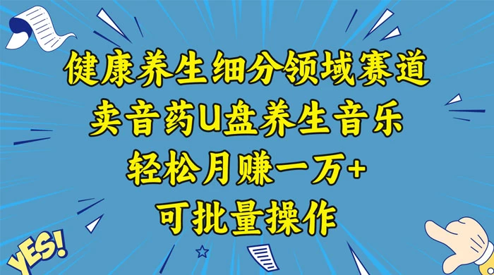 健康养生细分领域赛道，卖音药U盘养生音乐，轻松月赚一万+，可批量操作-网亿资源平台