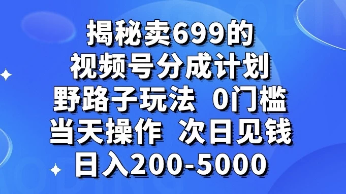 揭秘卖 699 的视频号分成计划野路子玩法，日入 200-5000，0 门槛，当天操作，次日见钱-网亿资源平台