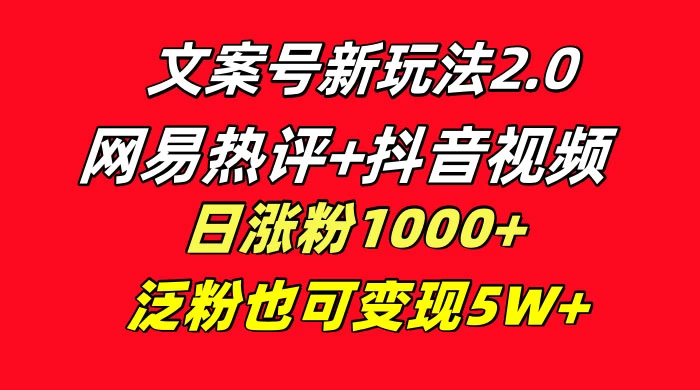 文案号新玩法，网易热评+抖音文案 一周轻松涨粉 5W+ 多种变现模式-网亿资源平台