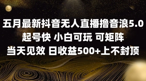 2025五月最新无人直播撸音浪单日产出5张+实操教程【揭秘】-邪修侠 - 演示