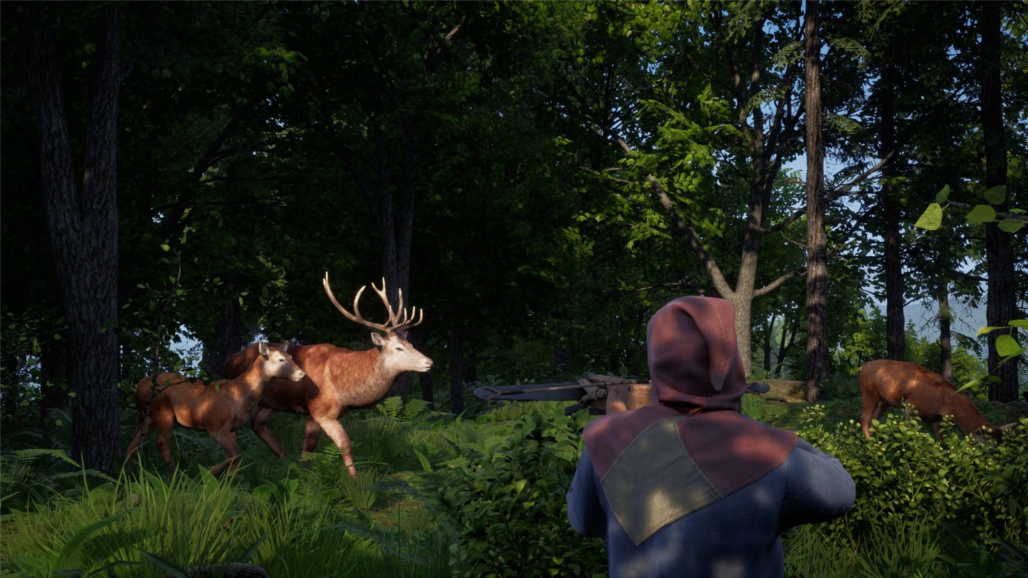 《中世纪王朝》v2.3.0.7中文版-趣奇资源网-第7张图片 《中世纪王朝》v2.3.0.7中文版-趣奇资源网-第7张图片