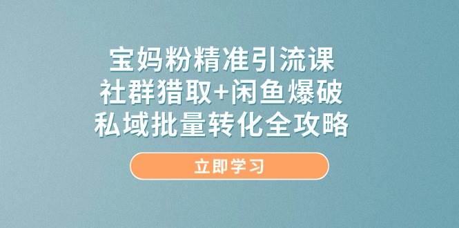 宝妈粉精准引流课，社群猎取+闲鱼爆破，私域批量转化全攻略-网亿资源平台
