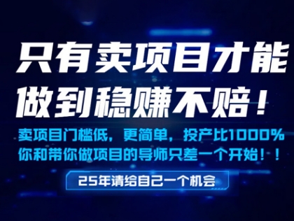 只有卖项目才能做到稳挣不赔，门槛低，更简单，你也可以年入百个W【揭秘】-网亿资源平台