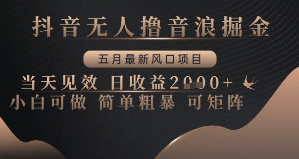 抖音无人撸音浪掘金,五月最新风口项目,当天见效,日收益多张,小白可做简单粗暴可矩阵【揭秘】-邪修侠 - 演示