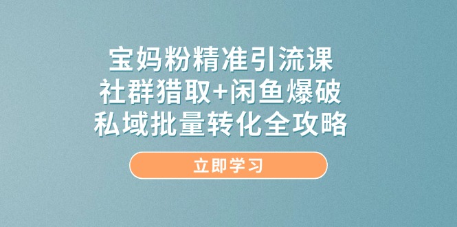 （14820期）宝妈粉精准引流课，社群猎取+闲鱼爆破，私域批量转化全攻略-网亿资源平台