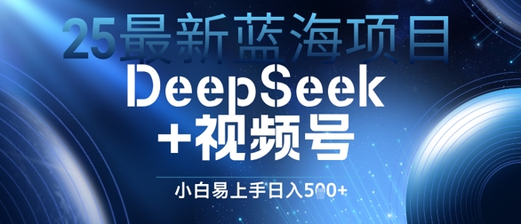 25最新蓝海项目DeepSeek+视频号，小白易上手日入几张-网亿资源平台