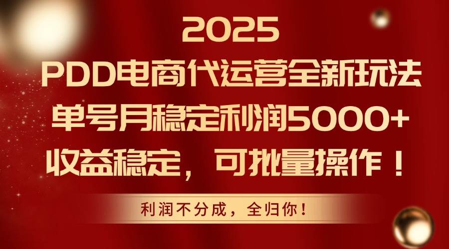 （14839期）2025PDD电商代运营全新玩法，单号月稳定利润5000+，收益稳定，可批量操作-网亿资源平台