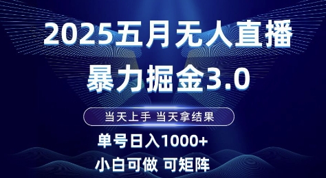 2025五月无人直播暴力掘金3.0，当天上手，当天拿结果，单号日入1k+小白可做可矩阵【揭秘】-网亿资源平台
