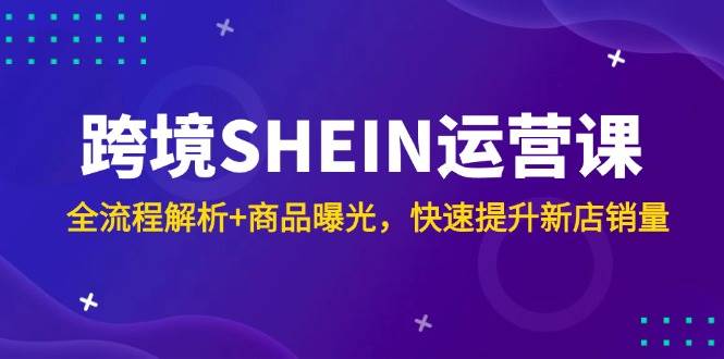 （14832期）跨境SHEIN运营课，全流程解析+商品曝光，快速提升新店销量-网亿资源平台