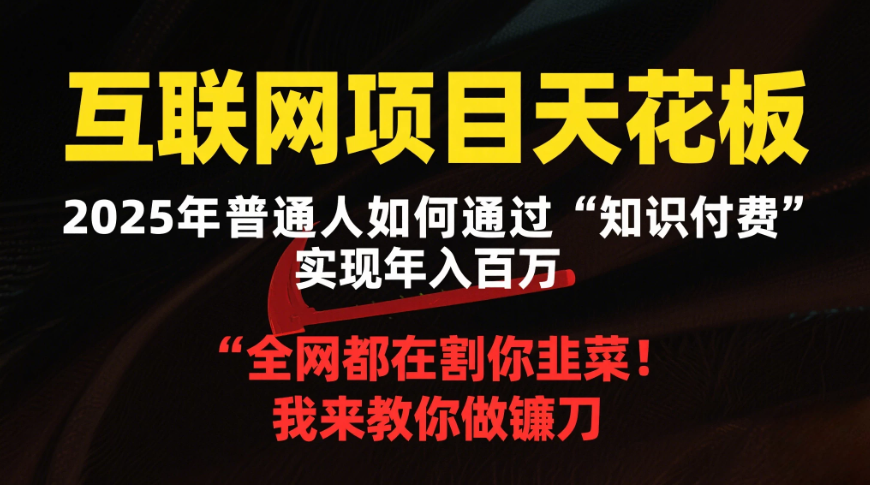 2025年最容易翻身网创项目天花板-网亿资源平台