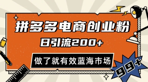拼多多引流电商创业粉，日引200+，可矩阵放大，做了就有效【揭秘】-邪修侠 - 演示