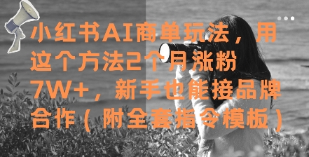 小红书AI商单玩法，用这个方法2个月涨粉7W+，新手也能接品牌合作(附全套指令模板)-网亿资源平台