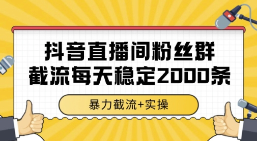 抖音直播间粉丝群暴力截流，一台电脑每天稳定2000条数据，暴力截流+实操 【揭秘】-邪修侠 - 演示