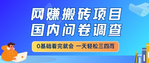 网创搬砖项目，国内问卷调查，小白轻松上手，一天三四张的也不难，干就完了【揭秘】-网亿资源平台