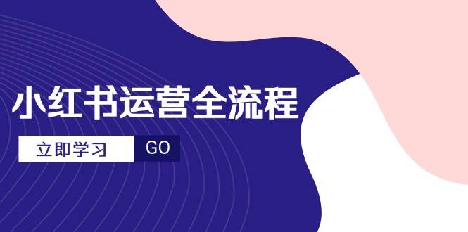 （14861期）小红书运营全流程，爆款选题文案，视频制作技巧，进阶达人宝典-网亿资源平台