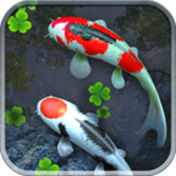 Water Garden Premium 锦鲤鱼池v1.68专业版-网亿资源平台