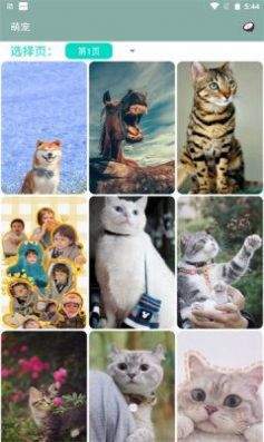 山竹 V2.0 纯净版-网亿资源平台