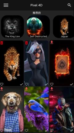 Pixel 4D 动态壁纸v3.0.2高级版-网亿资源平台