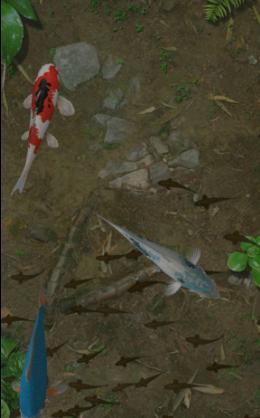 Water Garden Premium 鱼池 v1.78 完整版-网亿资源平台