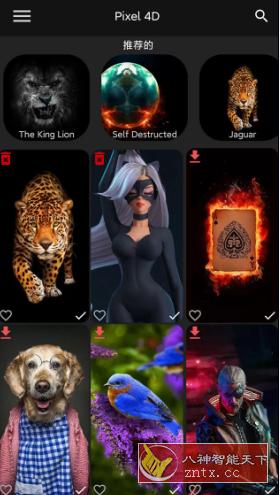 Pixel 4D动态壁纸v3.0.3高级版-网亿资源平台