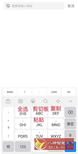 讯飞输入法8.3.8503 OPPO定制版-网亿资源平台