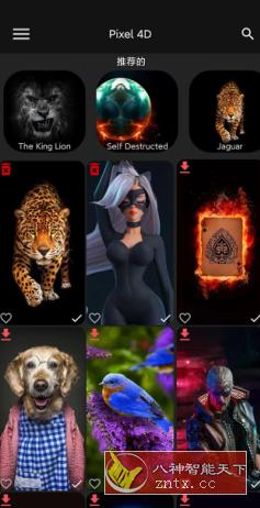Pixel 4D 动态壁纸 v3.1.9高级版-网亿资源平台