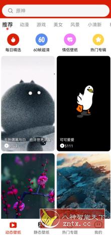 神奇动态壁纸v5.2.0 会员版-网亿资源平台