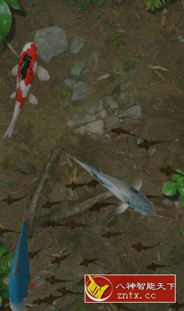 Water Garden 鱼池v1.81 完整版-网亿资源平台