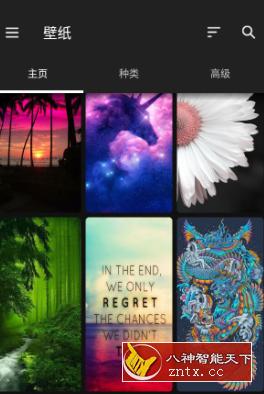 ZEDGE? 铃声和壁纸 v7.46.1清爽版-网亿资源平台