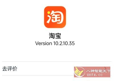 淘宝谷歌版v10.17.0.13-网亿资源平台